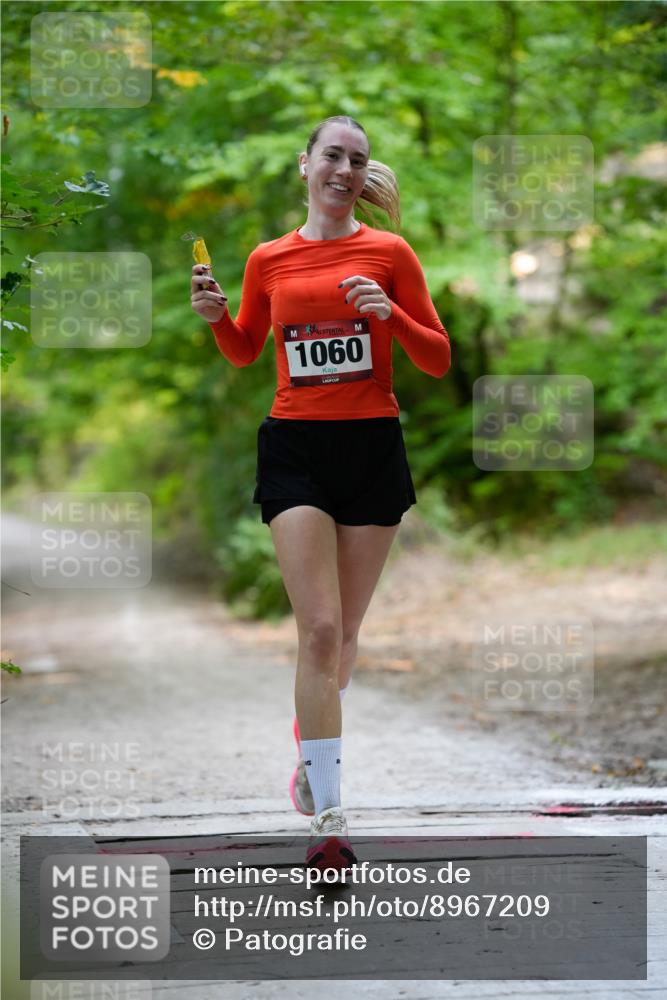 28.09.2025 - 33. Volkslauf durch das schöne Alstertal Patografie http://msf.ph/oto/8967209 28.09.2025 10:19:39 Laufen 1060 meine-sportfotos.de