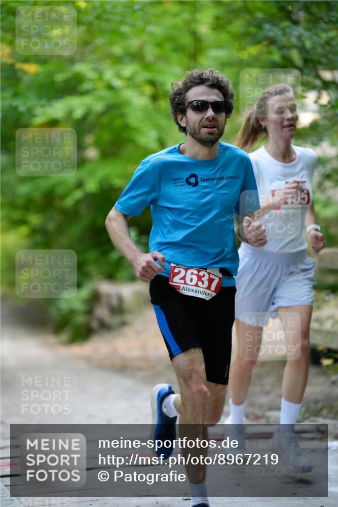 28.09.2025 - 33. Volkslauf durch das schöne Alstertal Patografie http://msf.ph/oto/8967219 28.09.2025 10:20:08 Laufen 2637, 05 meine-sportfotos.de