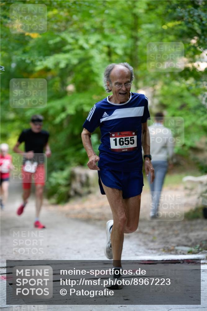 28.09.2025 - 33. Volkslauf durch das schöne Alstertal Patografie http://msf.ph/oto/8967223 28.09.2025 10:20:59 Laufen 1655 meine-sportfotos.de
