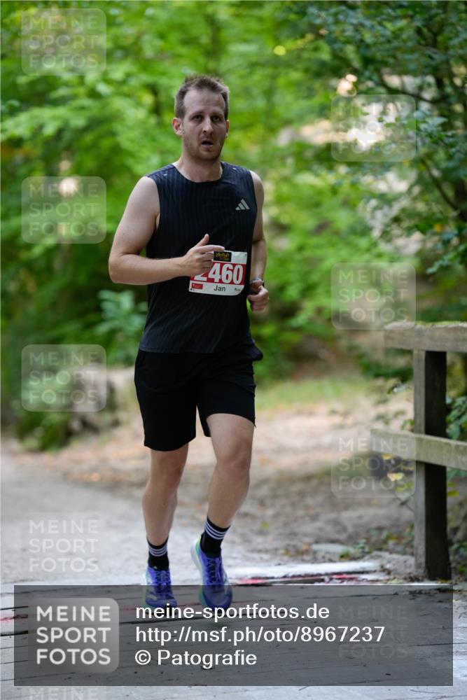 28.09.2025 - 33. Volkslauf durch das schöne Alstertal Patografie http://msf.ph/oto/8967237 28.09.2025 10:21:50 Laufen 460 meine-sportfotos.de