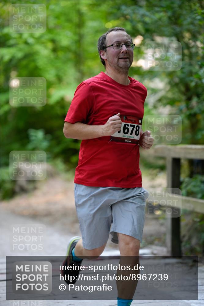 28.09.2025 - 33. Volkslauf durch das schöne Alstertal Patografie http://msf.ph/oto/8967239 28.09.2025 10:21:54 Laufen 1678 meine-sportfotos.de