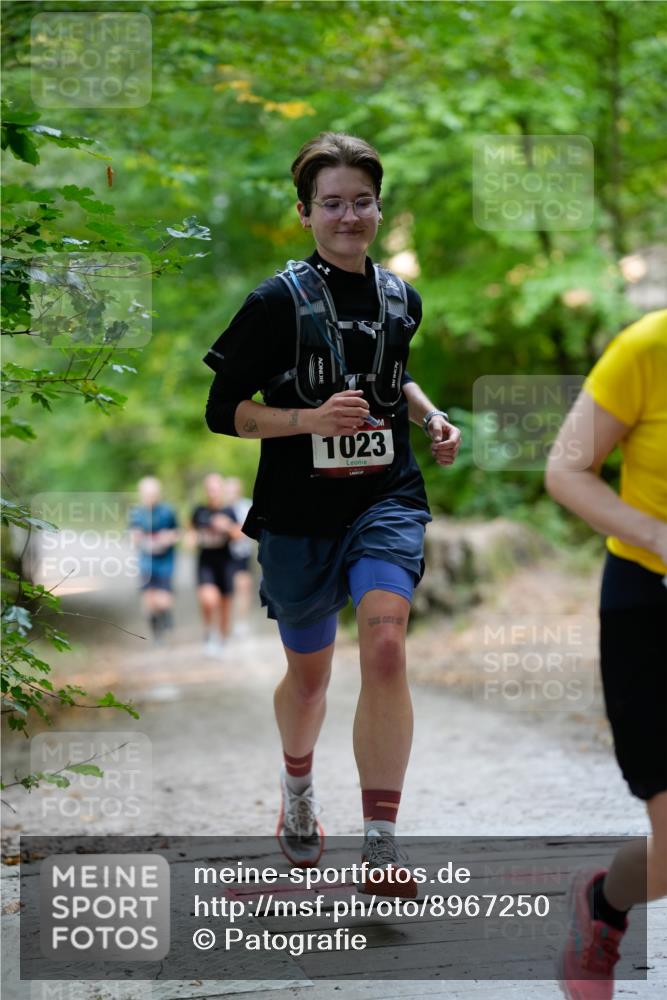 28.09.2025 - 33. Volkslauf durch das schöne Alstertal Patografie http://msf.ph/oto/8967250 28.09.2025 10:22:56 Laufen 1023 meine-sportfotos.de
