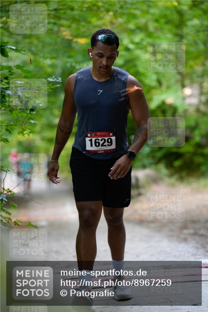 28.09.2025 - 33. Volkslauf durch das schöne Alstertal Patografie http://msf.ph/oto/8967259 28.09.2025 10:23:38 Laufen 7, 1629 meine-sportfotos.de