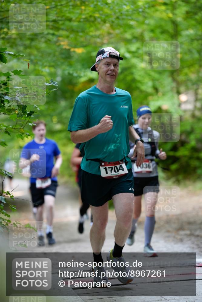 28.09.2025 - 33. Volkslauf durch das schöne Alstertal Patografie http://msf.ph/oto/8967261 28.09.2025 10:23:48 Laufen 1704, 036 meine-sportfotos.de