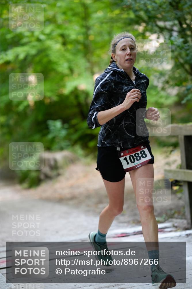 28.09.2025 - 33. Volkslauf durch das schöne Alstertal Patografie http://msf.ph/oto/8967266 28.09.2025 10:24:24 Laufen 1088 meine-sportfotos.de