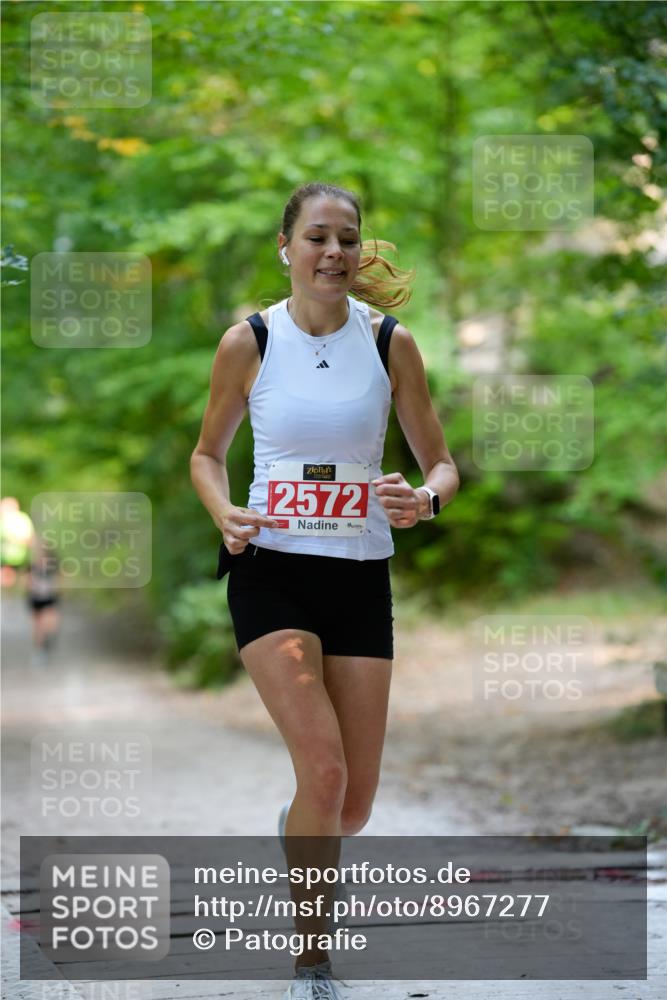 28.09.2025 - 33. Volkslauf durch das schöne Alstertal Patografie http://msf.ph/oto/8967277 28.09.2025 10:25:15 Laufen 2, 2572 meine-sportfotos.de