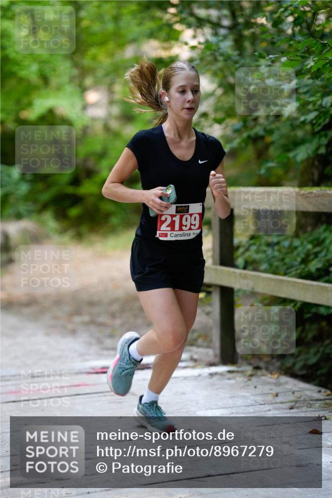 28.09.2025 - 33. Volkslauf durch das schöne Alstertal Patografie http://msf.ph/oto/8967279 28.09.2025 10:25:22 Laufen 2199 meine-sportfotos.de