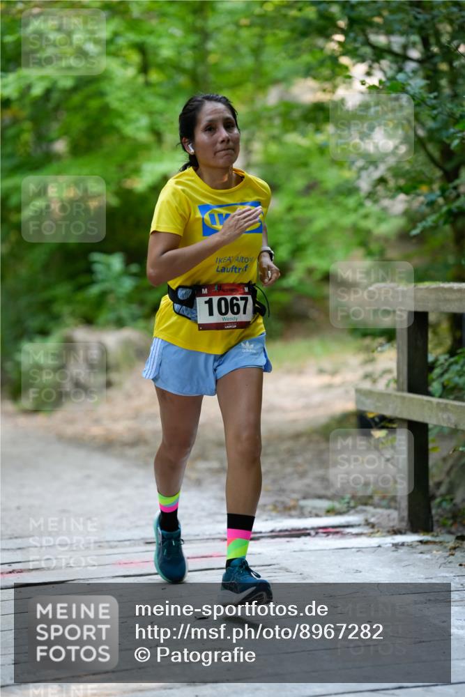 28.09.2025 - 33. Volkslauf durch das schöne Alstertal Patografie http://msf.ph/oto/8967282 28.09.2025 10:25:51 Laufen 1067 meine-sportfotos.de