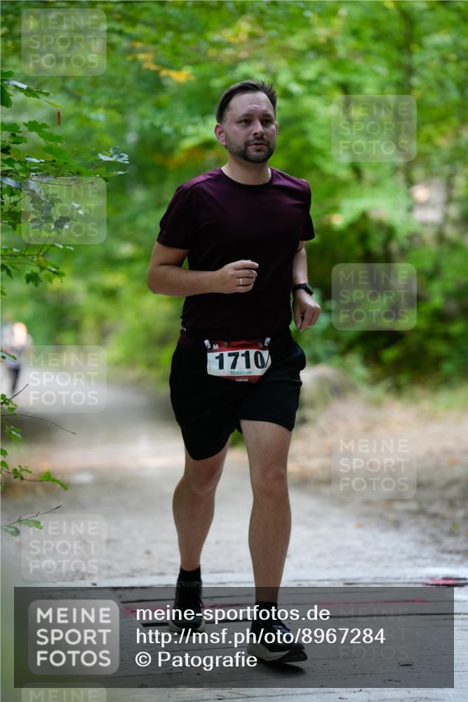 28.09.2025 - 33. Volkslauf durch das schöne Alstertal Patografie http://msf.ph/oto/8967284 28.09.2025 10:26:04 Laufen 1710 meine-sportfotos.de