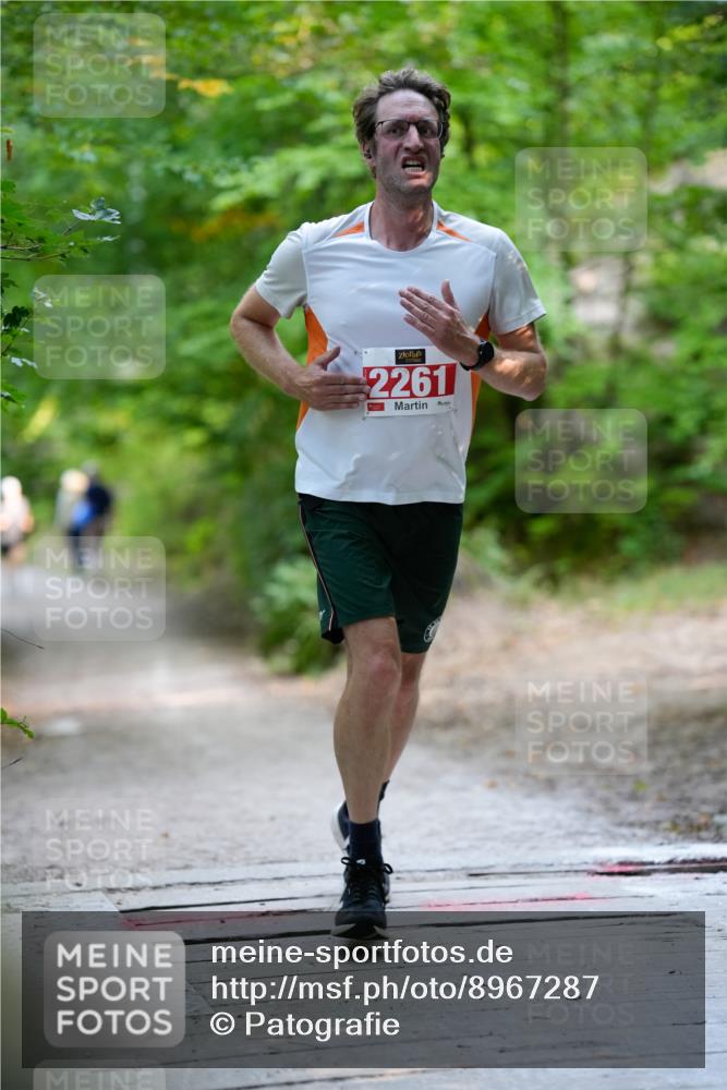 28.09.2025 - 33. Volkslauf durch das schöne Alstertal Patografie http://msf.ph/oto/8967287 28.09.2025 10:26:25 Laufen 2261 meine-sportfotos.de