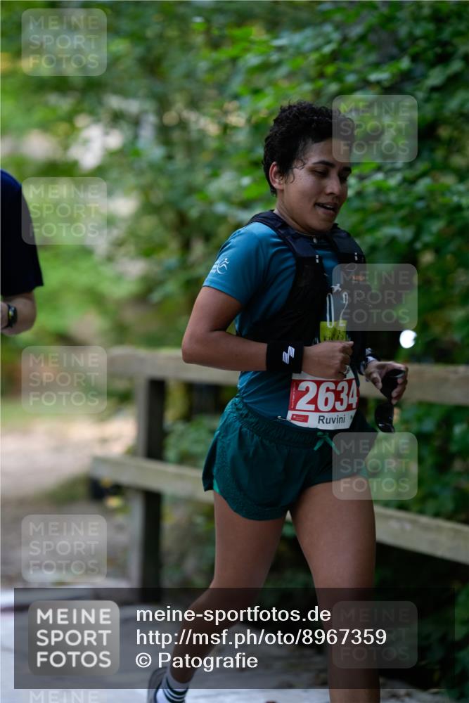 28.09.2025 - 33. Volkslauf durch das schöne Alstertal Patografie http://msf.ph/oto/8967359 28.09.2025 10:35:42 Laufen 2634 meine-sportfotos.de
