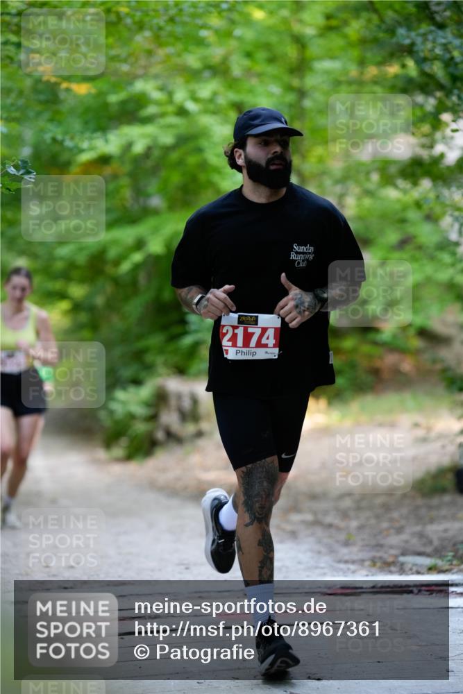 28.09.2025 - 33. Volkslauf durch das schöne Alstertal Patografie http://msf.ph/oto/8967361 28.09.2025 10:35:59 Laufen 2174 meine-sportfotos.de