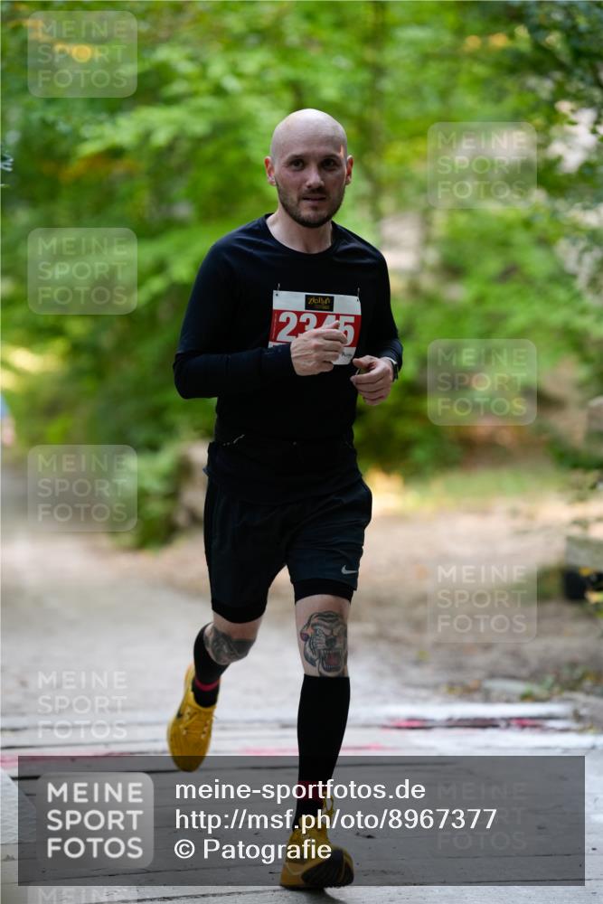28.09.2025 - 33. Volkslauf durch das schöne Alstertal Patografie http://msf.ph/oto/8967377 28.09.2025 10:36:25 Laufen 225 meine-sportfotos.de