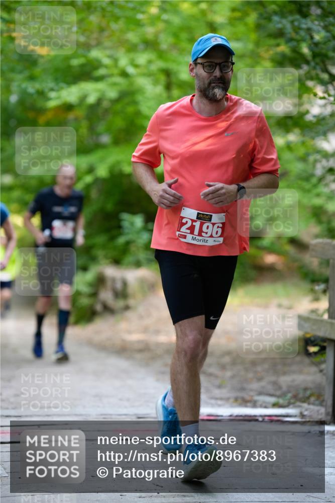 28.09.2025 - 33. Volkslauf durch das schöne Alstertal Patografie http://msf.ph/oto/8967383 28.09.2025 10:37:03 Laufen 2196 meine-sportfotos.de