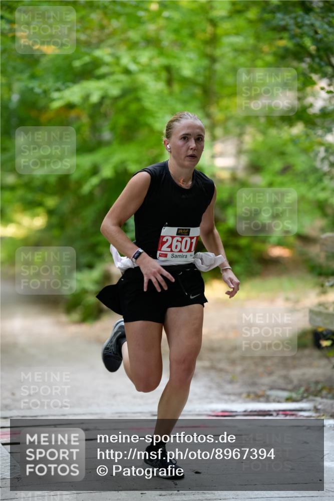 28.09.2025 - 33. Volkslauf durch das schöne Alstertal Patografie http://msf.ph/oto/8967394 28.09.2025 10:37:51 Laufen 2601 meine-sportfotos.de