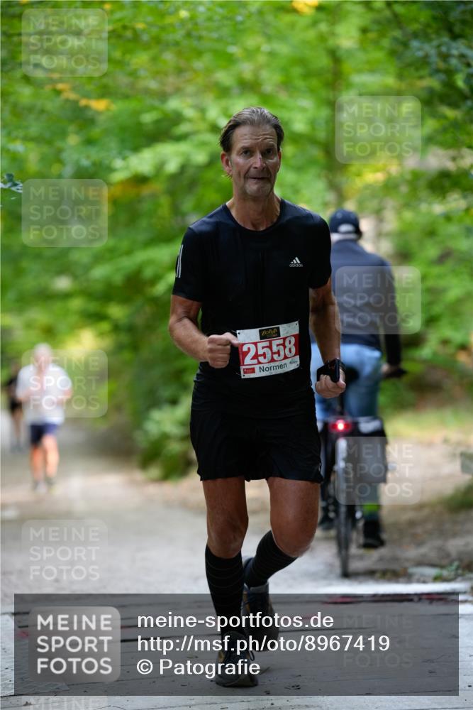 28.09.2025 - 33. Volkslauf durch das schöne Alstertal Patografie http://msf.ph/oto/8967419 28.09.2025 10:40:52 Laufen 72, 2558 meine-sportfotos.de