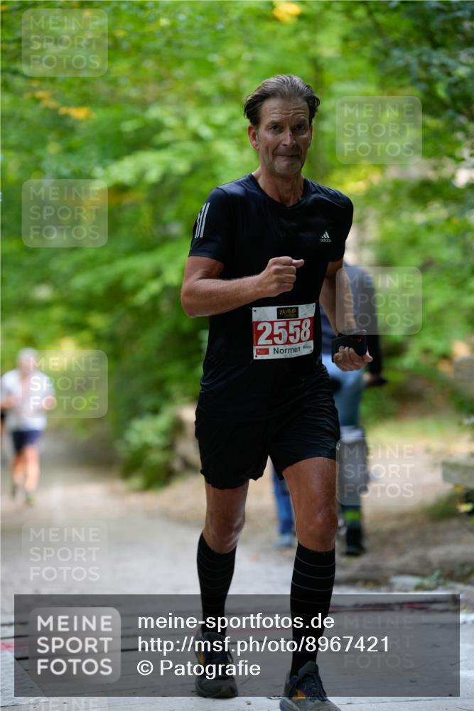 28.09.2025 - 33. Volkslauf durch das schöne Alstertal Patografie http://msf.ph/oto/8967421 28.09.2025 10:40:52 Laufen 2558 meine-sportfotos.de