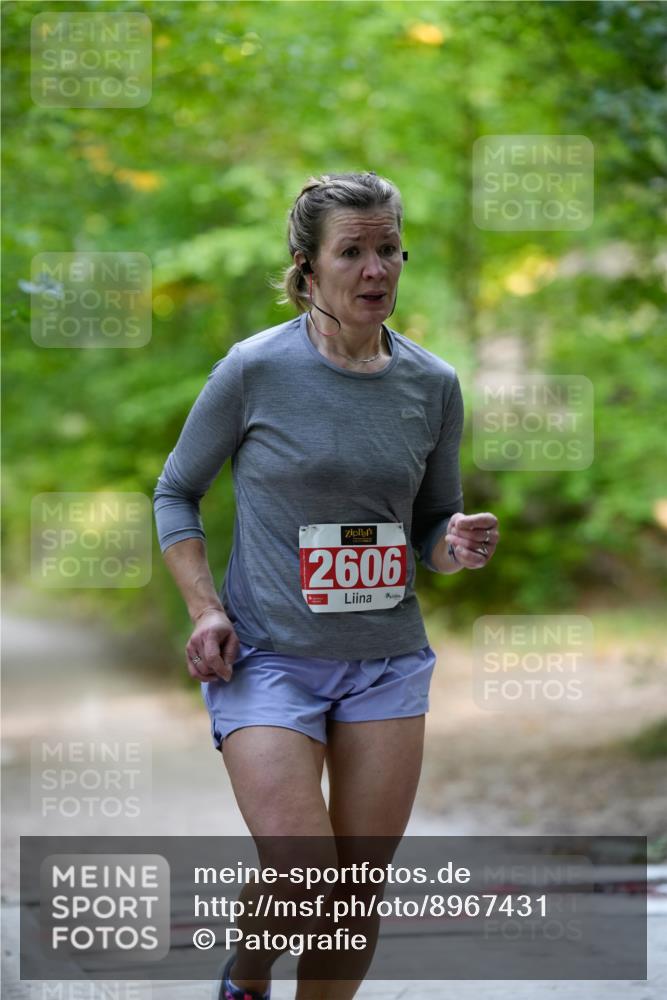 28.09.2025 - 33. Volkslauf durch das schöne Alstertal Patografie http://msf.ph/oto/8967431 28.09.2025 10:41:30 Laufen 2606 meine-sportfotos.de