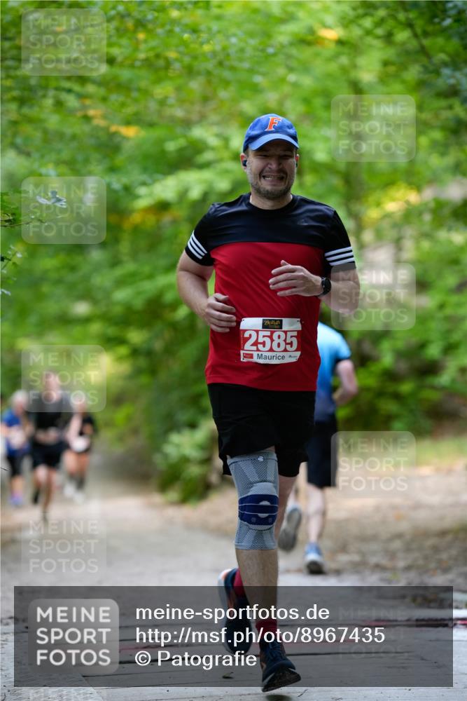 28.09.2025 - 33. Volkslauf durch das schöne Alstertal Patografie http://msf.ph/oto/8967435 28.09.2025 10:41:42 Laufen 2585 meine-sportfotos.de