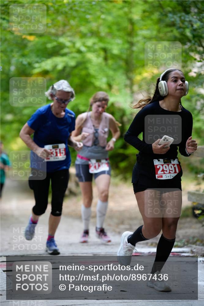 28.09.2025 - 33. Volkslauf durch das schöne Alstertal Patografie http://msf.ph/oto/8967436 28.09.2025 10:41:49 Laufen 315, 2991 meine-sportfotos.de