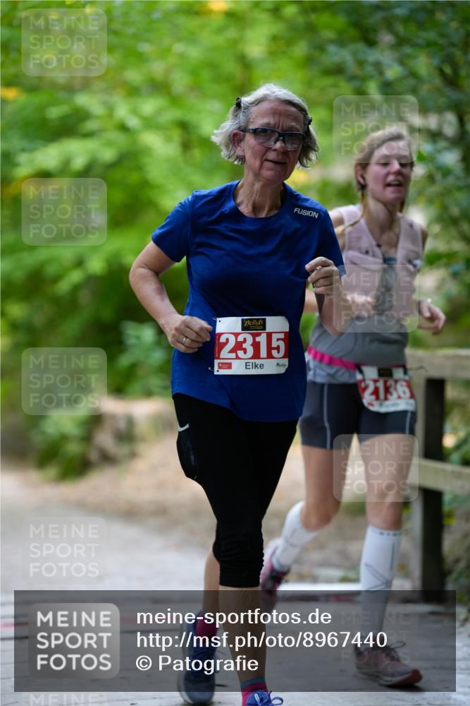 28.09.2025 - 33. Volkslauf durch das schöne Alstertal Patografie http://msf.ph/oto/8967440 28.09.2025 10:41:50 Laufen 2315, 2136 meine-sportfotos.de