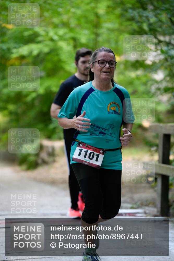 28.09.2025 - 33. Volkslauf durch das schöne Alstertal Patografie http://msf.ph/oto/8967441 28.09.2025 10:41:54 Laufen 2014, 1929, 1101 meine-sportfotos.de