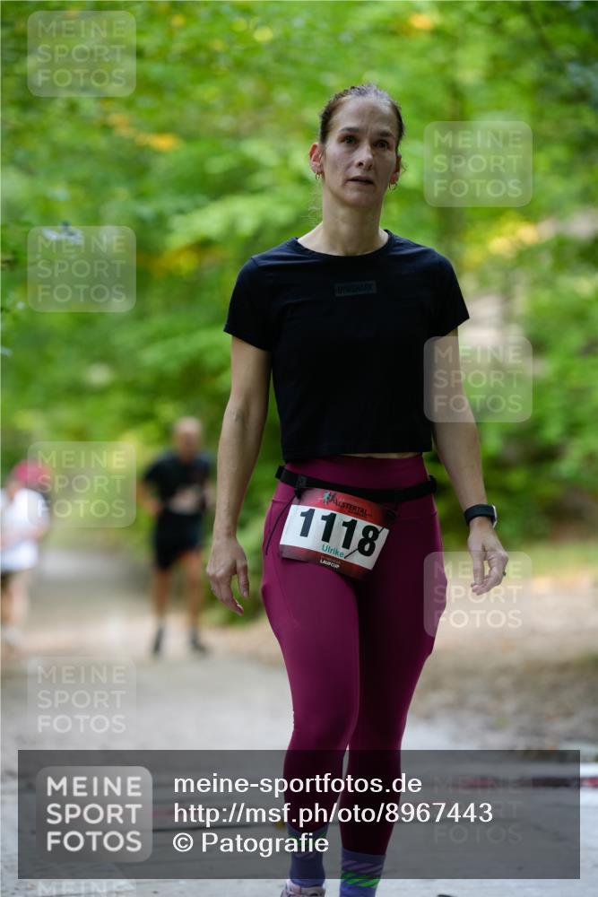28.09.2025 - 33. Volkslauf durch das schöne Alstertal Patografie http://msf.ph/oto/8967443 28.09.2025 10:42:09 Laufen 1118 meine-sportfotos.de