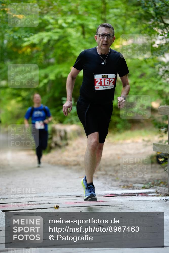 28.09.2025 - 33. Volkslauf durch das schöne Alstertal Patografie http://msf.ph/oto/8967463 28.09.2025 10:42:40 Laufen 2162 meine-sportfotos.de