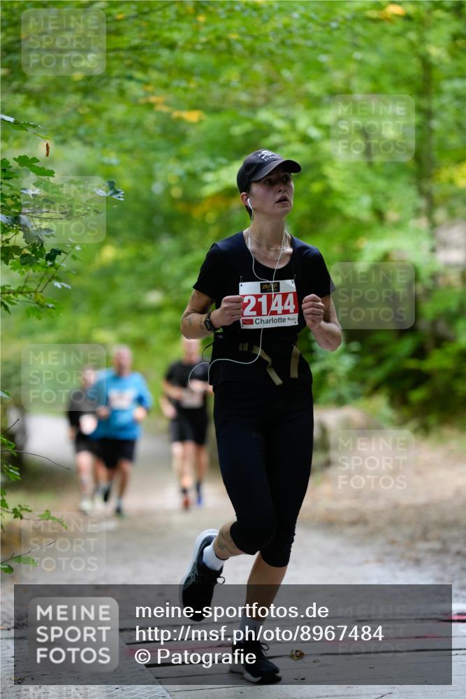 28.09.2025 - 33. Volkslauf durch das schöne Alstertal Patografie http://msf.ph/oto/8967484 28.09.2025 10:44:22 Laufen 2144 meine-sportfotos.de