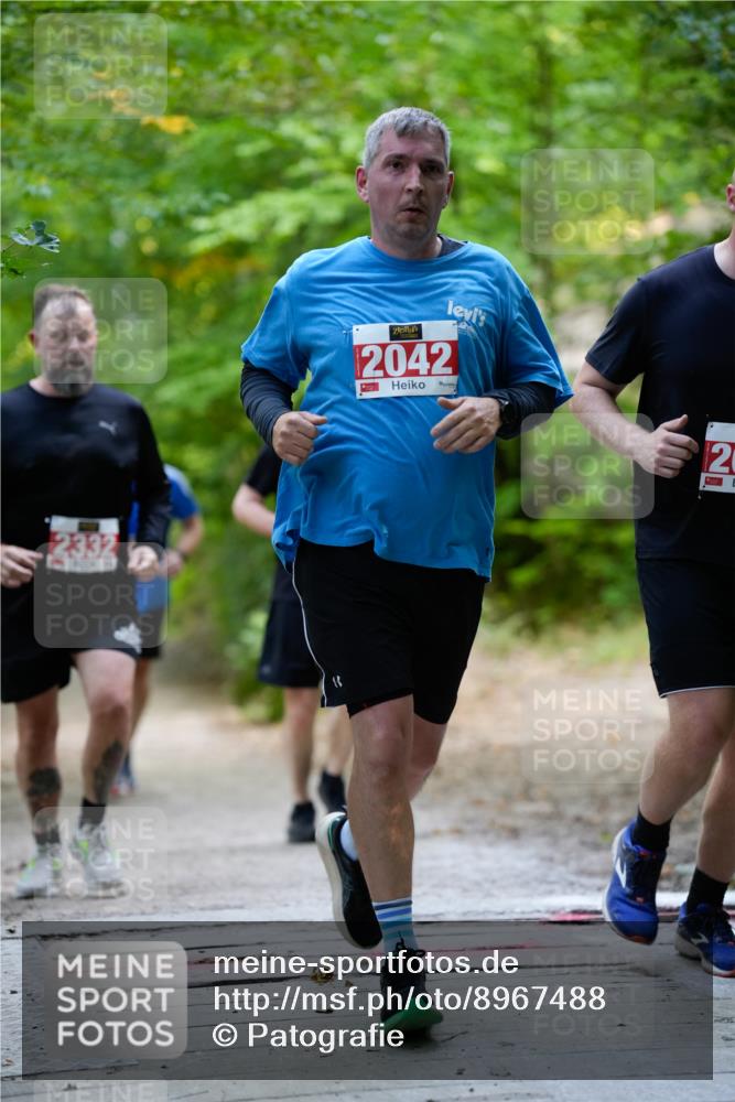 28.09.2025 - 33. Volkslauf durch das schöne Alstertal Patografie http://msf.ph/oto/8967488 28.09.2025 10:44:26 Laufen 2332, 2042, 2 meine-sportfotos.de