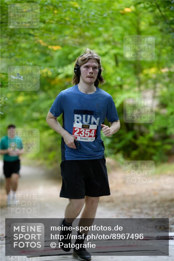 28.09.2025 - 33. Volkslauf durch das schöne Alstertal Patografie http://msf.ph/oto/8967496 28.09.2025 10:45:23 Laufen 2024, 2354 meine-sportfotos.de