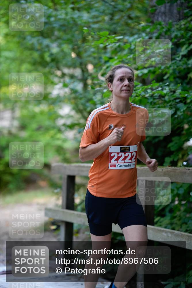 28.09.2025 - 33. Volkslauf durch das schöne Alstertal Patografie http://msf.ph/oto/8967506 28.09.2025 10:46:04 Laufen 42, 2222 meine-sportfotos.de
