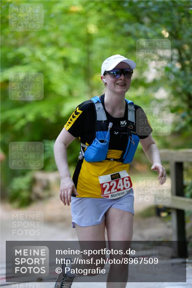 28.09.2025 - 33. Volkslauf durch das schöne Alstertal Patografie http://msf.ph/oto/8967509 28.09.2025 10:46:23 Laufen 2246 meine-sportfotos.de