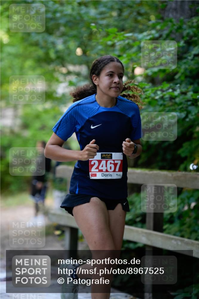 28.09.2025 - 33. Volkslauf durch das schöne Alstertal Patografie http://msf.ph/oto/8967525 28.09.2025 10:47:19 Laufen 2467 meine-sportfotos.de