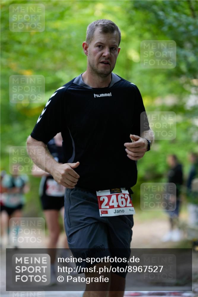 28.09.2025 - 33. Volkslauf durch das schöne Alstertal Patografie http://msf.ph/oto/8967527 28.09.2025 10:47:22 Laufen 2462 meine-sportfotos.de