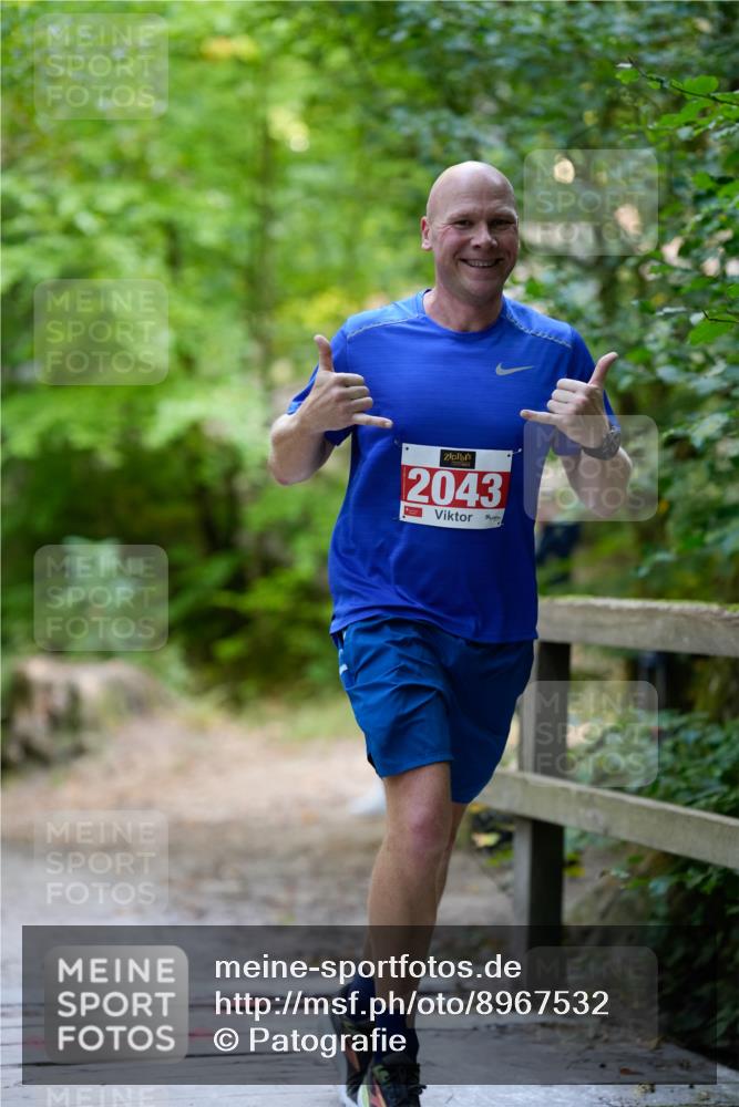 28.09.2025 - 33. Volkslauf durch das schöne Alstertal Patografie http://msf.ph/oto/8967532 28.09.2025 10:47:32 Laufen 2043 meine-sportfotos.de