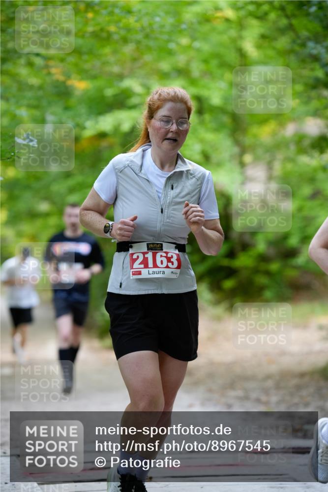 28.09.2025 - 33. Volkslauf durch das schöne Alstertal Patografie http://msf.ph/oto/8967545 28.09.2025 10:48:25 Laufen 2163 meine-sportfotos.de