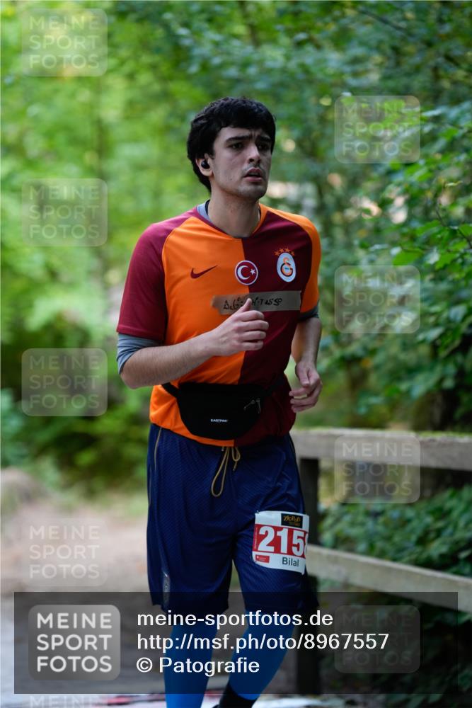 28.09.2025 - 33. Volkslauf durch das schöne Alstertal Patografie http://msf.ph/oto/8967557 28.09.2025 10:49:41 Laufen 4550, 2158 meine-sportfotos.de
