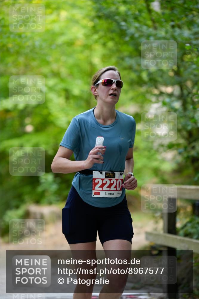 28.09.2025 - 33. Volkslauf durch das schöne Alstertal Patografie http://msf.ph/oto/8967577 28.09.2025 10:53:02 Laufen 2220 meine-sportfotos.de