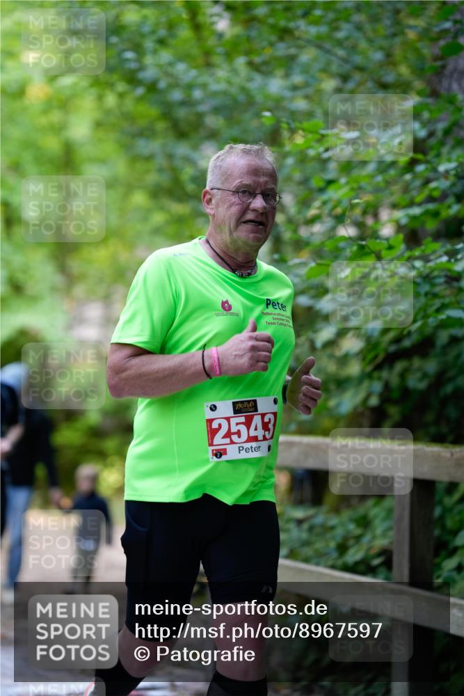 28.09.2025 - 33. Volkslauf durch das schöne Alstertal Patografie http://msf.ph/oto/8967597 28.09.2025 10:57:18 Laufen 2543 meine-sportfotos.de