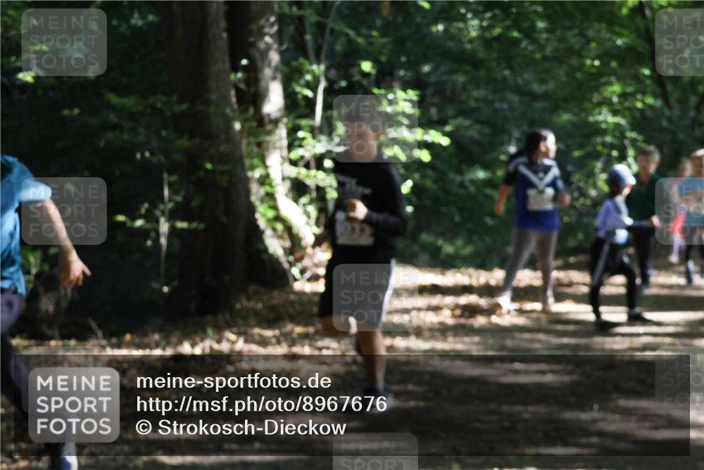 28.09.2025 - 33. Volkslauf durch das schöne Alstertal Strokosch-Dieckow http://msf.ph/oto/8967676 28.09.2025 10:41:26 Laufen  meine-sportfotos.de
