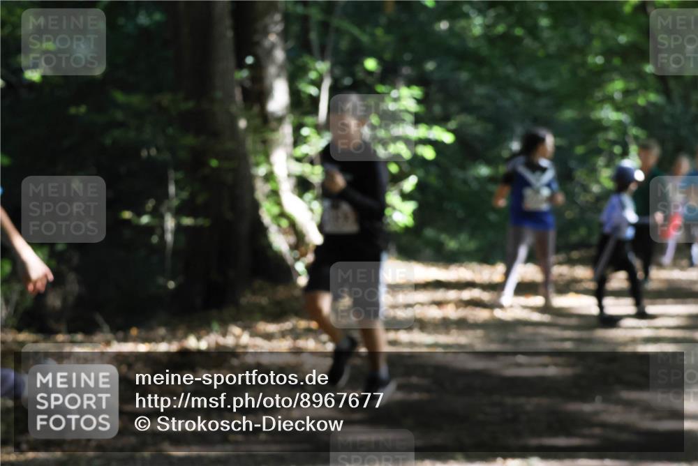 28.09.2025 - 33. Volkslauf durch das schöne Alstertal Strokosch-Dieckow http://msf.ph/oto/8967677 28.09.2025 10:41:26 Laufen  meine-sportfotos.de