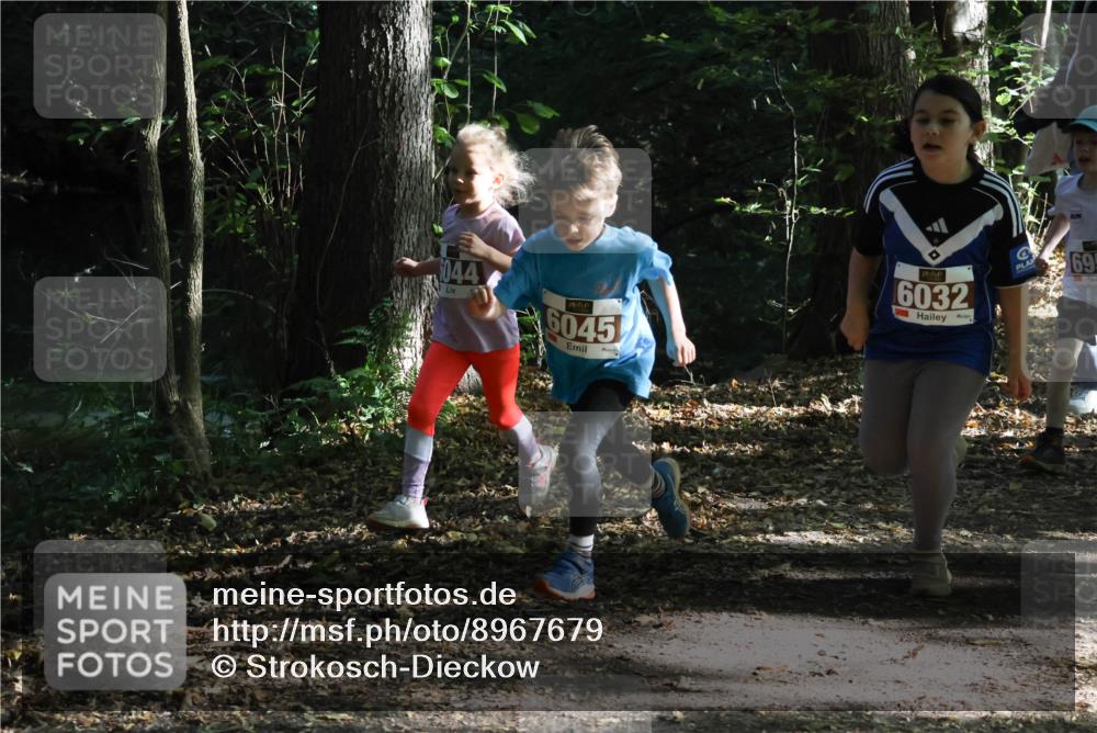28.09.2025 - 33. Volkslauf durch das schöne Alstertal Strokosch-Dieckow http://msf.ph/oto/8967679 28.09.2025 10:41:29 Laufen 044, 6045, 6032, 695 meine-sportfotos.de