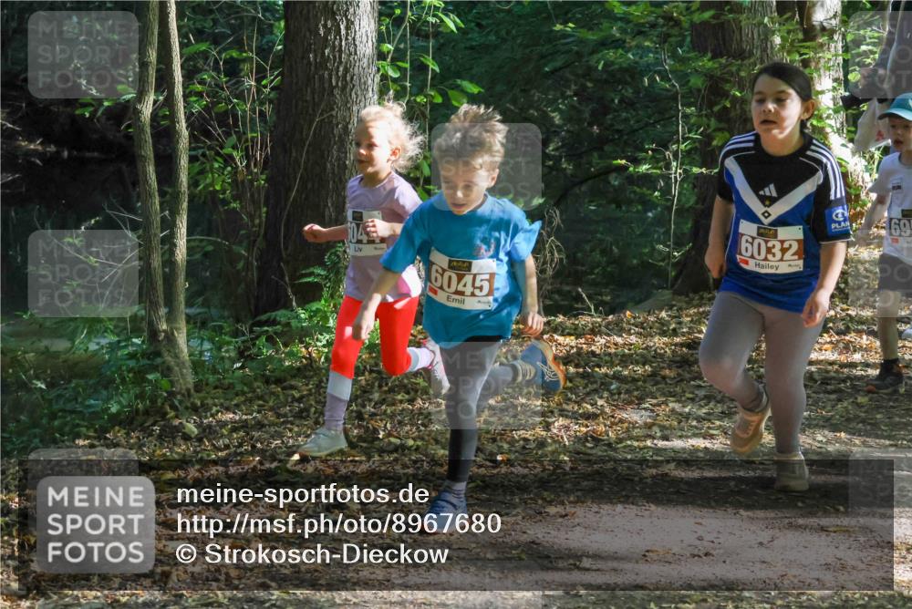 28.09.2025 - 33. Volkslauf durch das schöne Alstertal Strokosch-Dieckow http://msf.ph/oto/8967680 28.09.2025 10:41:29 Laufen 6045, 7500, 6032, 69 meine-sportfotos.de
