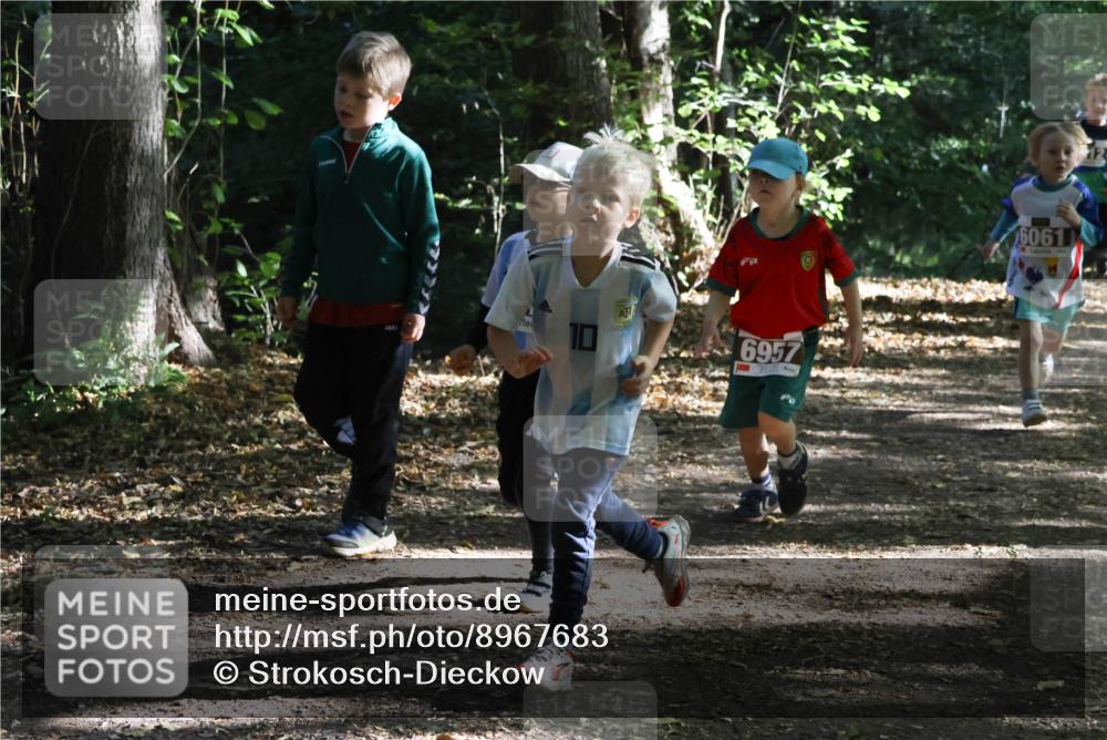 28.09.2025 - 33. Volkslauf durch das schöne Alstertal Strokosch-Dieckow http://msf.ph/oto/8967683 28.09.2025 10:41:32 Laufen 10, 6957, 6061 meine-sportfotos.de