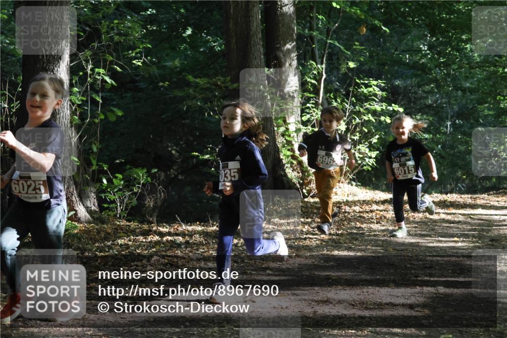 28.09.2025 - 33. Volkslauf durch das schöne Alstertal Strokosch-Dieckow http://msf.ph/oto/8967690 28.09.2025 10:41:40 Laufen 6025, 035, 696, 57, 6015 meine-sportfotos.de