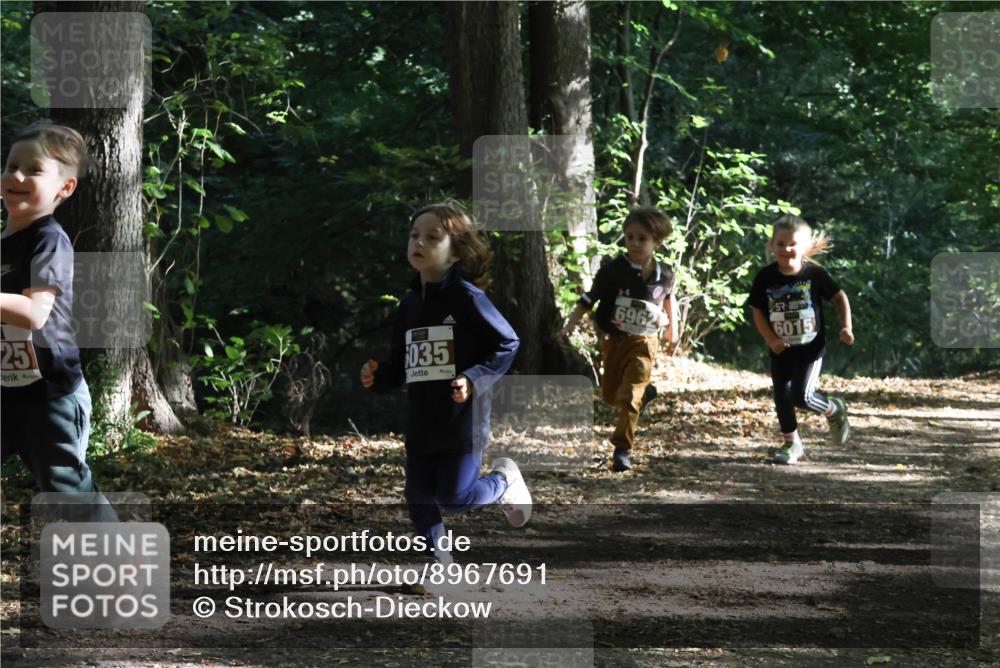28.09.2025 - 33. Volkslauf durch das schöne Alstertal Strokosch-Dieckow http://msf.ph/oto/8967691 28.09.2025 10:41:40 Laufen 25, 035, 6962, 6015 meine-sportfotos.de