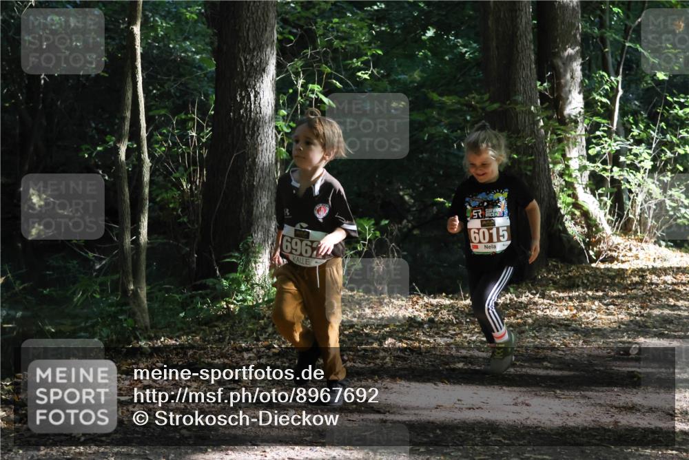 28.09.2025 - 33. Volkslauf durch das schöne Alstertal Strokosch-Dieckow http://msf.ph/oto/8967692 28.09.2025 10:41:41 Laufen 6967, 6015 meine-sportfotos.de