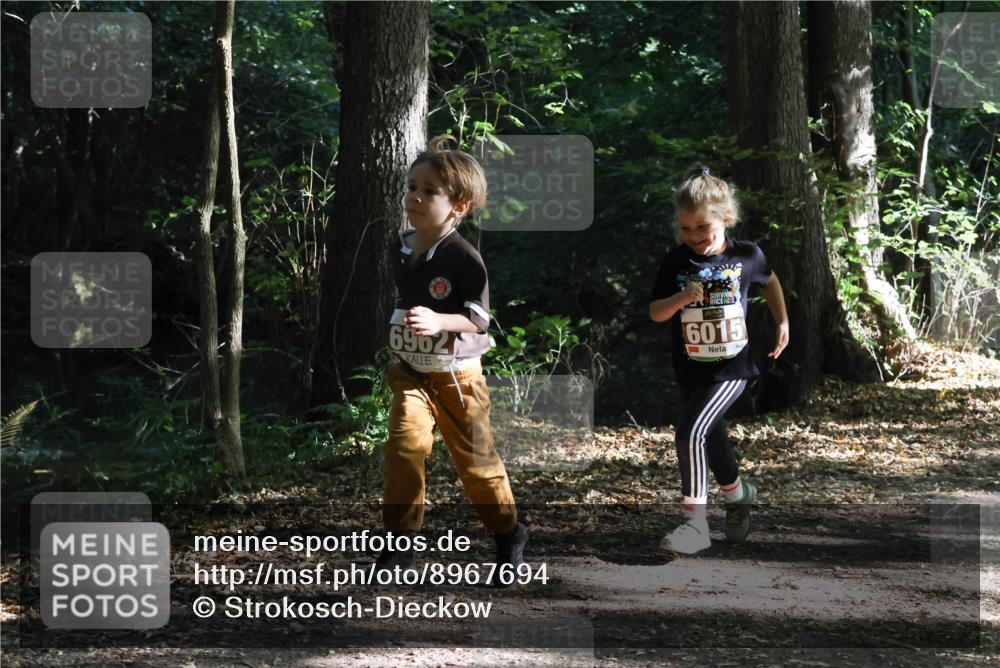 28.09.2025 - 33. Volkslauf durch das schöne Alstertal Strokosch-Dieckow http://msf.ph/oto/8967694 28.09.2025 10:41:41 Laufen 6962, 6015 meine-sportfotos.de