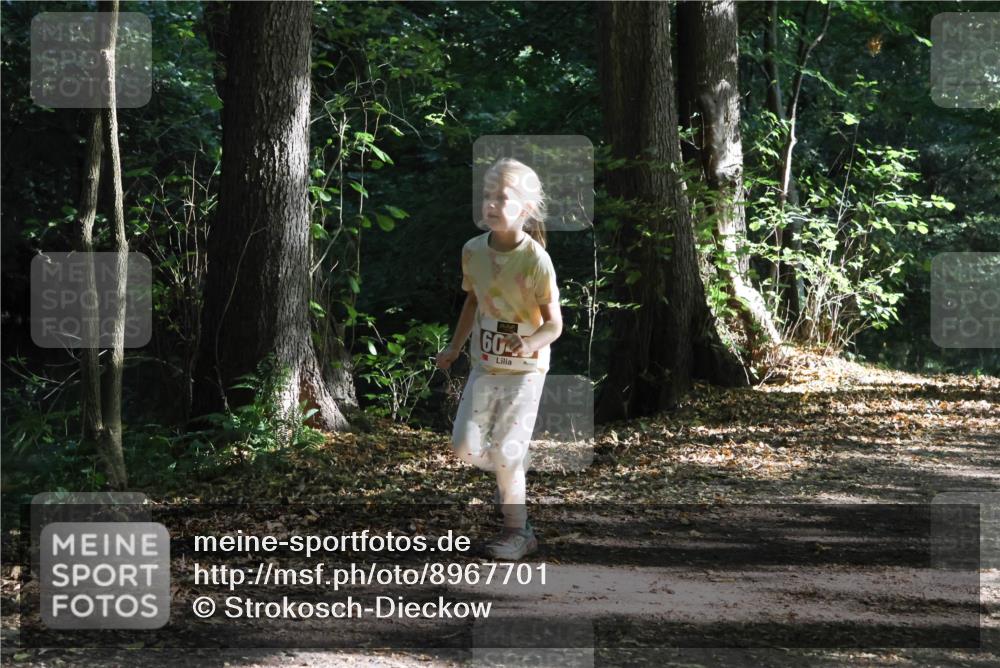 28.09.2025 - 33. Volkslauf durch das schöne Alstertal Strokosch-Dieckow http://msf.ph/oto/8967701 28.09.2025 10:41:46 Laufen 60 meine-sportfotos.de